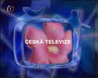 Ceska televize