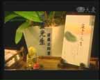 tzuchi 15w