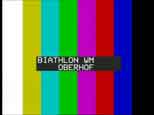 Biathlon WM Oberhof