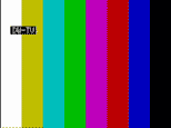 DW-TV feed  from Rini