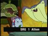 FLAVIA *A SUI62  SRG1 ATHEN